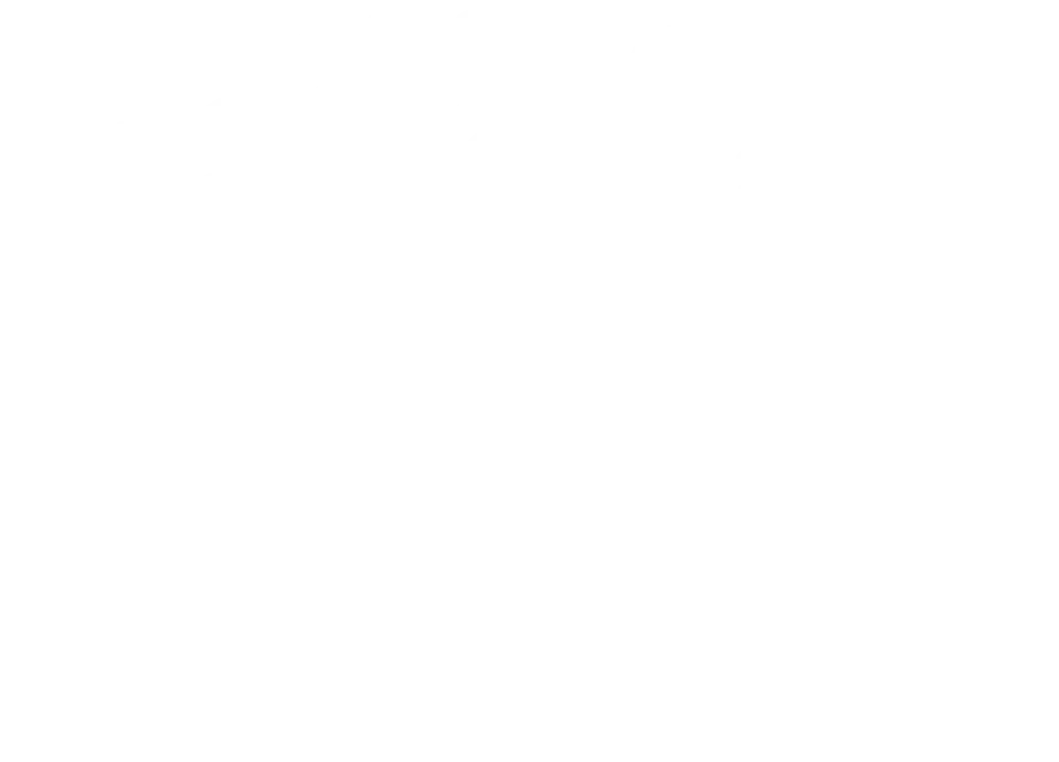 Polifonia - Piano strategico del Politecnico di Bari 2027-2029